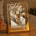 Memorial-Pet-My-Favorite-Hello-&-Hardest-Goodbye-Personalized-Night-Light-1
