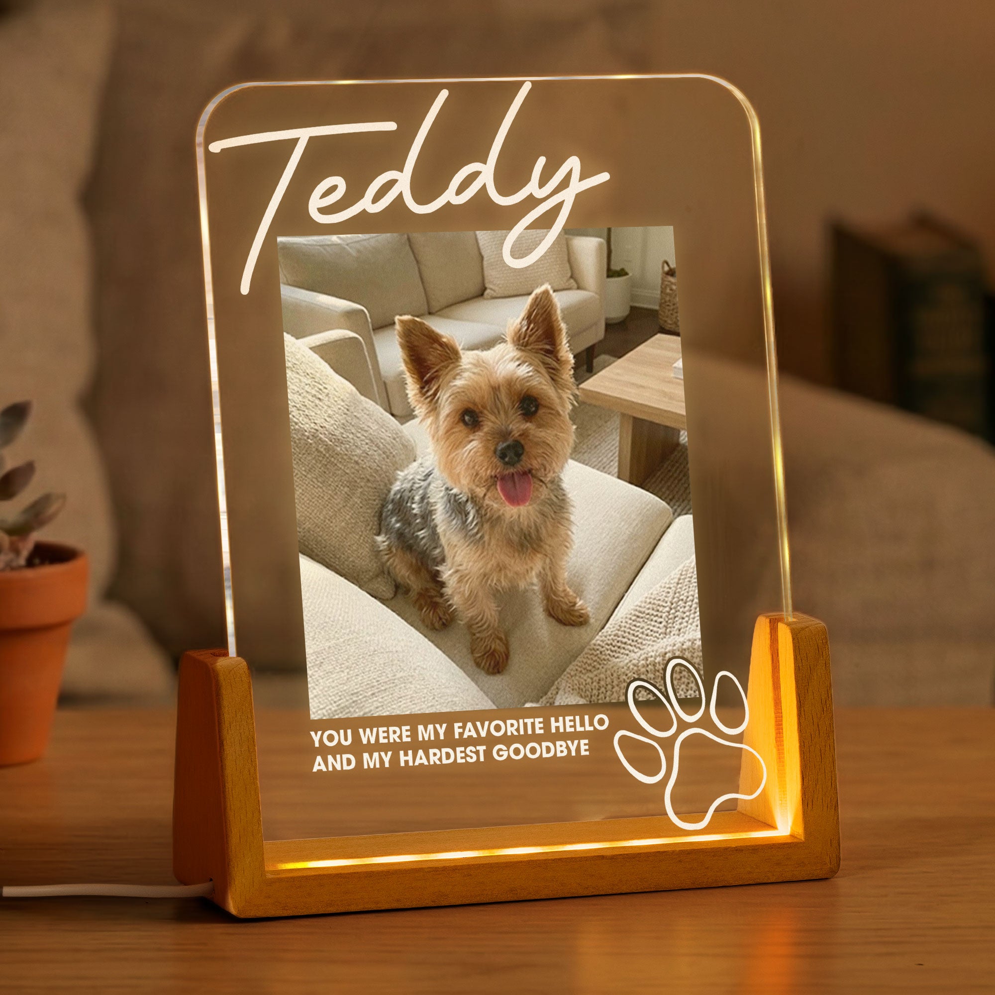 Memorial-Pet-My-Favorite-Hello-&-Hardest-Goodbye-Personalized-Night-Light-1