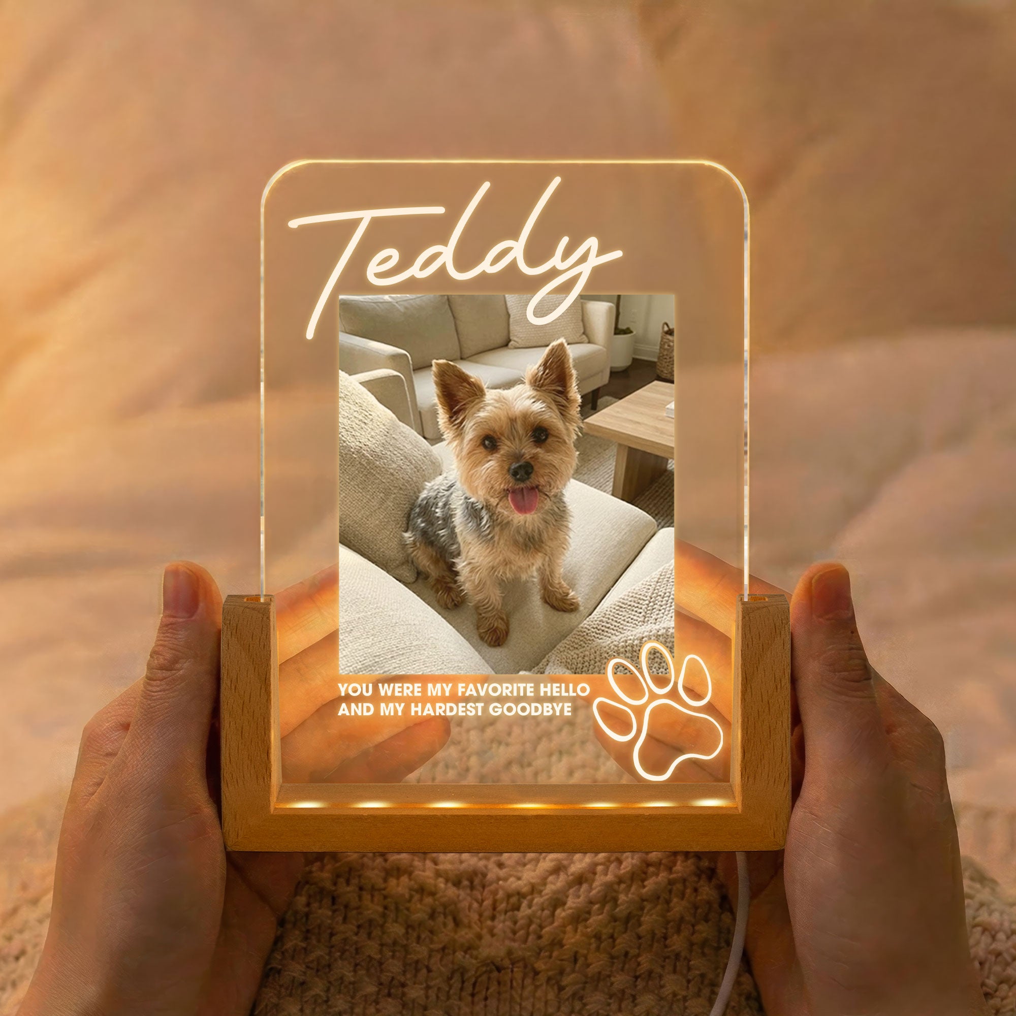 Memorial-Pet-My-Favorite-Hello-&-Hardest-Goodbye-Personalized-Night-Light-2