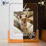 Memorial-Pet-My-Favorite-Hello-&-Hardest-Goodbye-Personalized-Night-Light-3