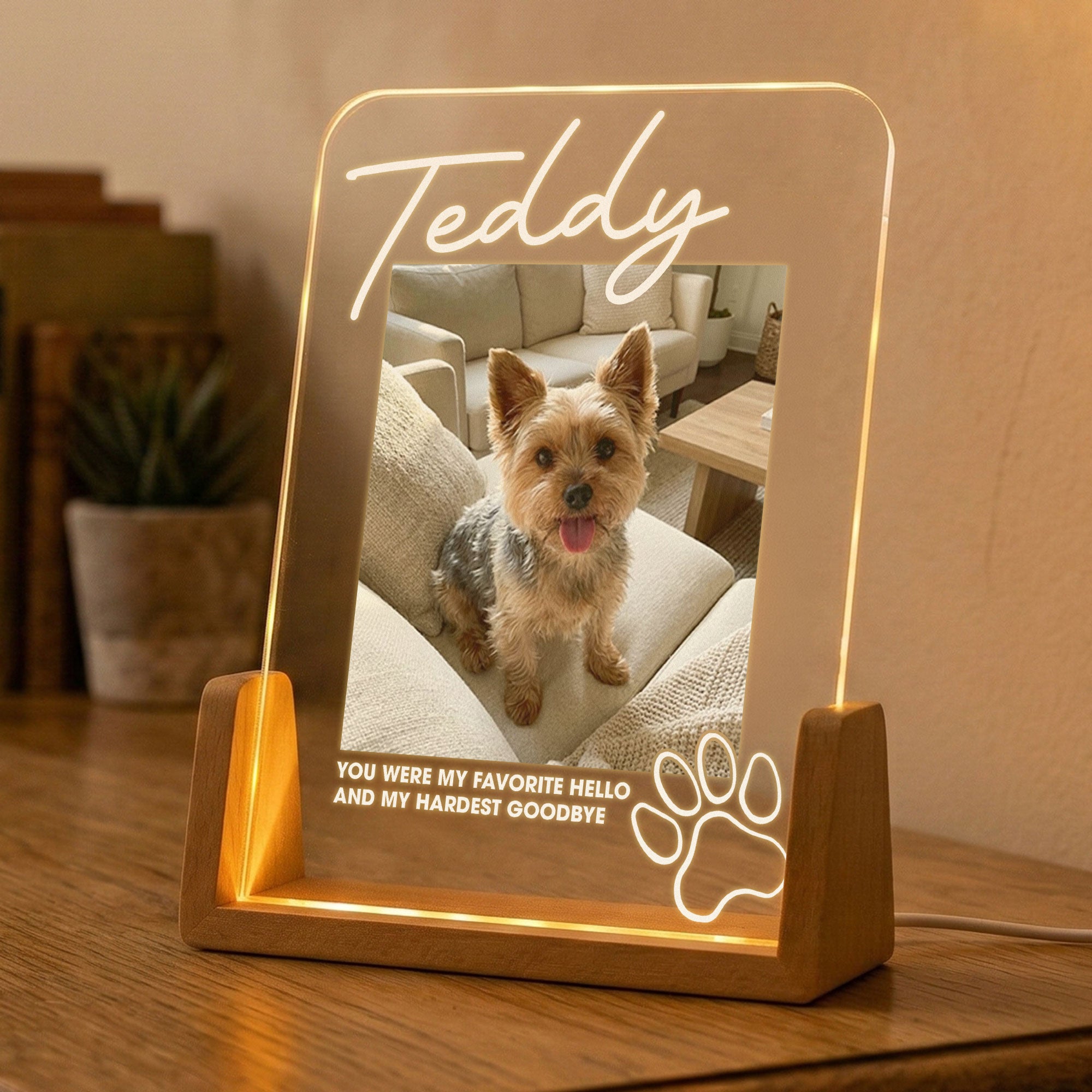 Memorial-Pet-My-Favorite-Hello-&-Hardest-Goodbye-Personalized-Night-Light-4