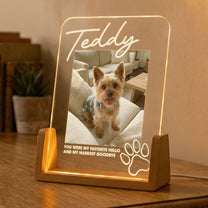 Memorial-Pet-My-Favorite-Hello-&-Hardest-Goodbye-Personalized-Night-Light-4