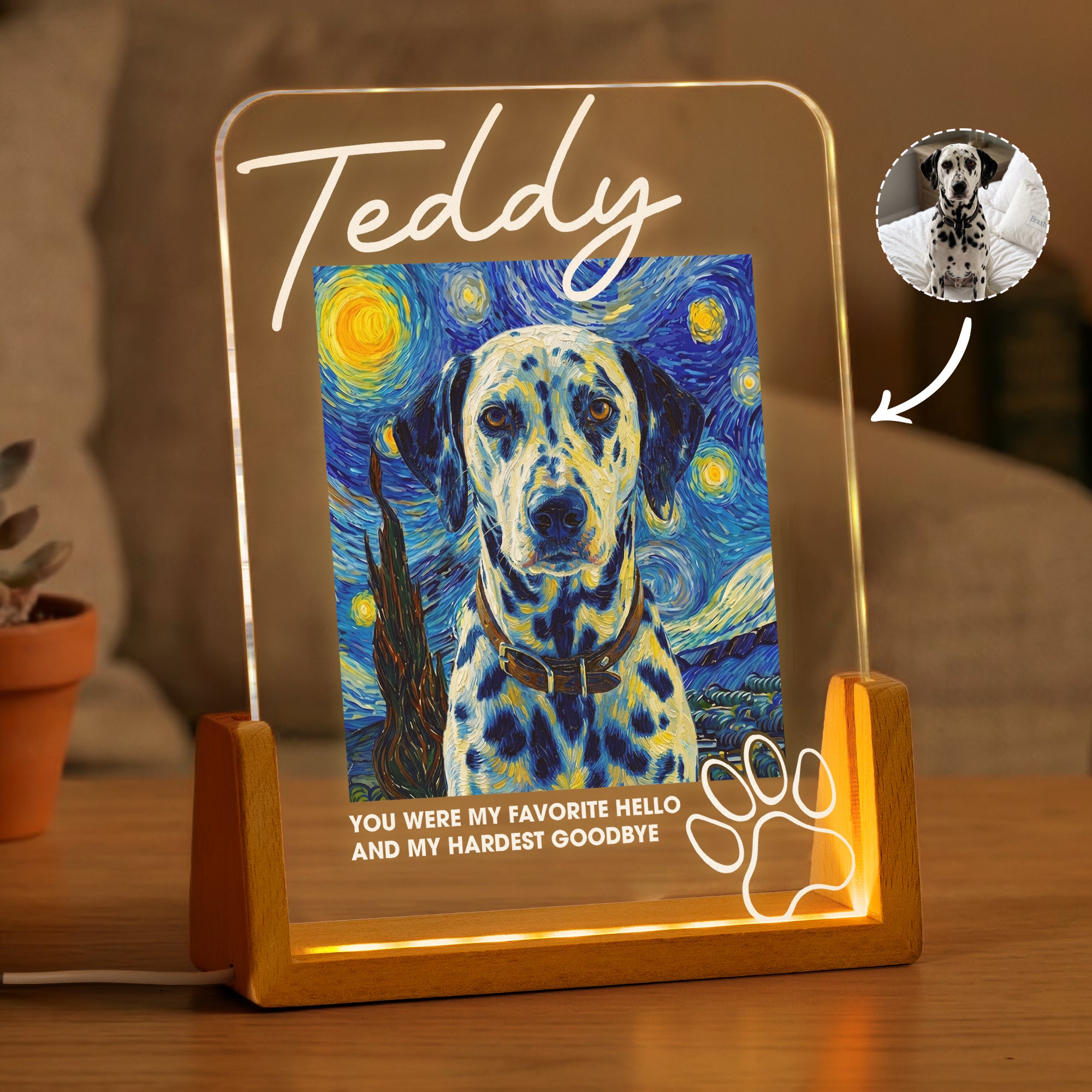 Memorial-Pet-Van-Gogh-Style-My-Favorite-Hello-&-Hardest-Goodbye-Personalized-Night-Light-1