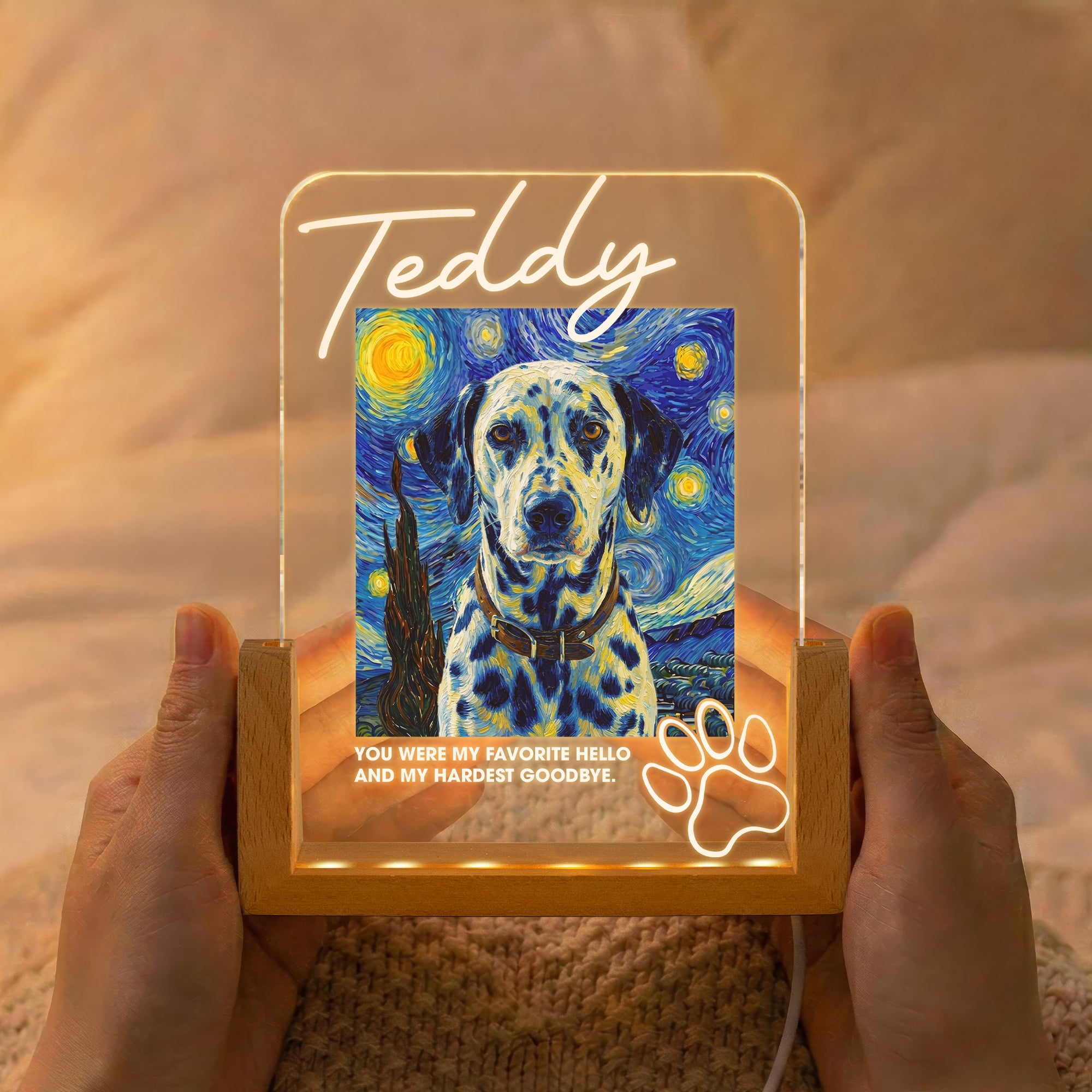 Memorial-Pet-Van-Gogh-Style-My-Favorite-Hello-&-Hardest-Goodbye-Personalized-Night-Light-2