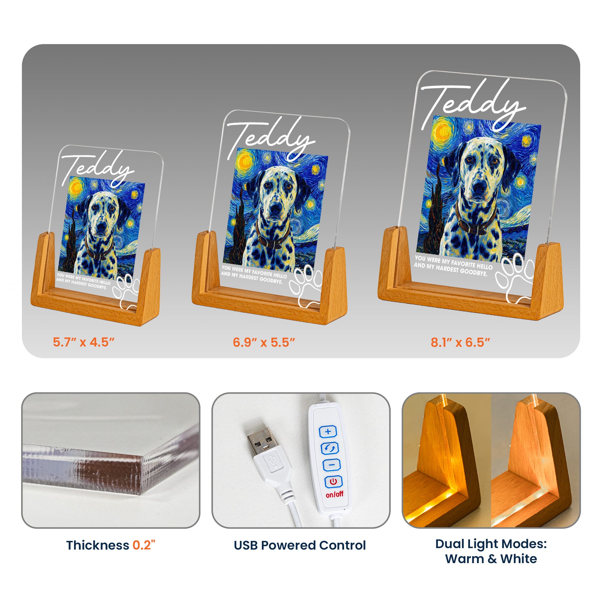 Memorial-Pet-Van-Gogh-Style-My-Favorite-Hello-&-Hardest-Goodbye-Personalized-Night-Light-6