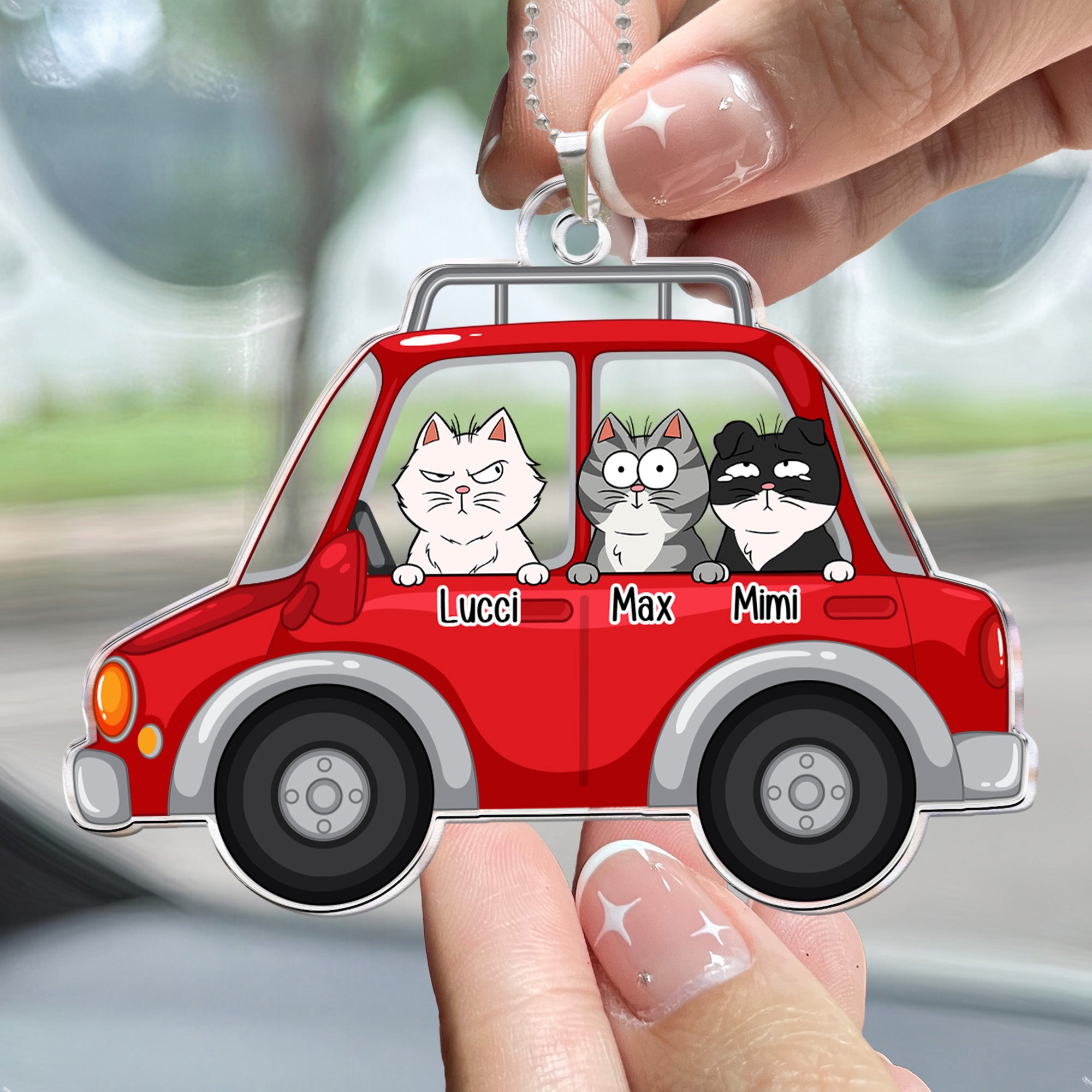 My Dogs And Cats In The Car - Personalized Rear View Mirror Accessory