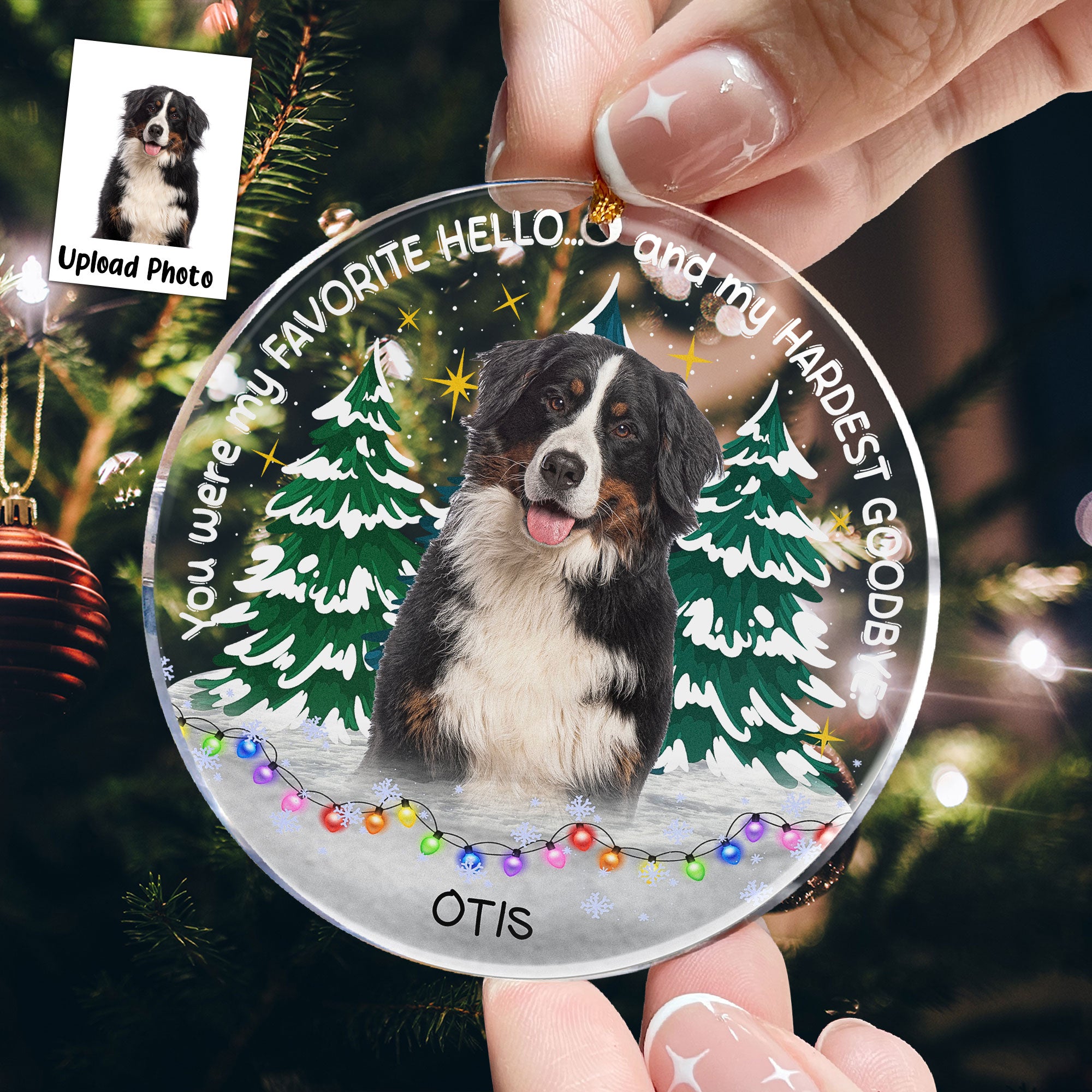 My Favorite Hello & Hardest Goodbye Pet Loss - Personalized Acrylic Photo Ornament