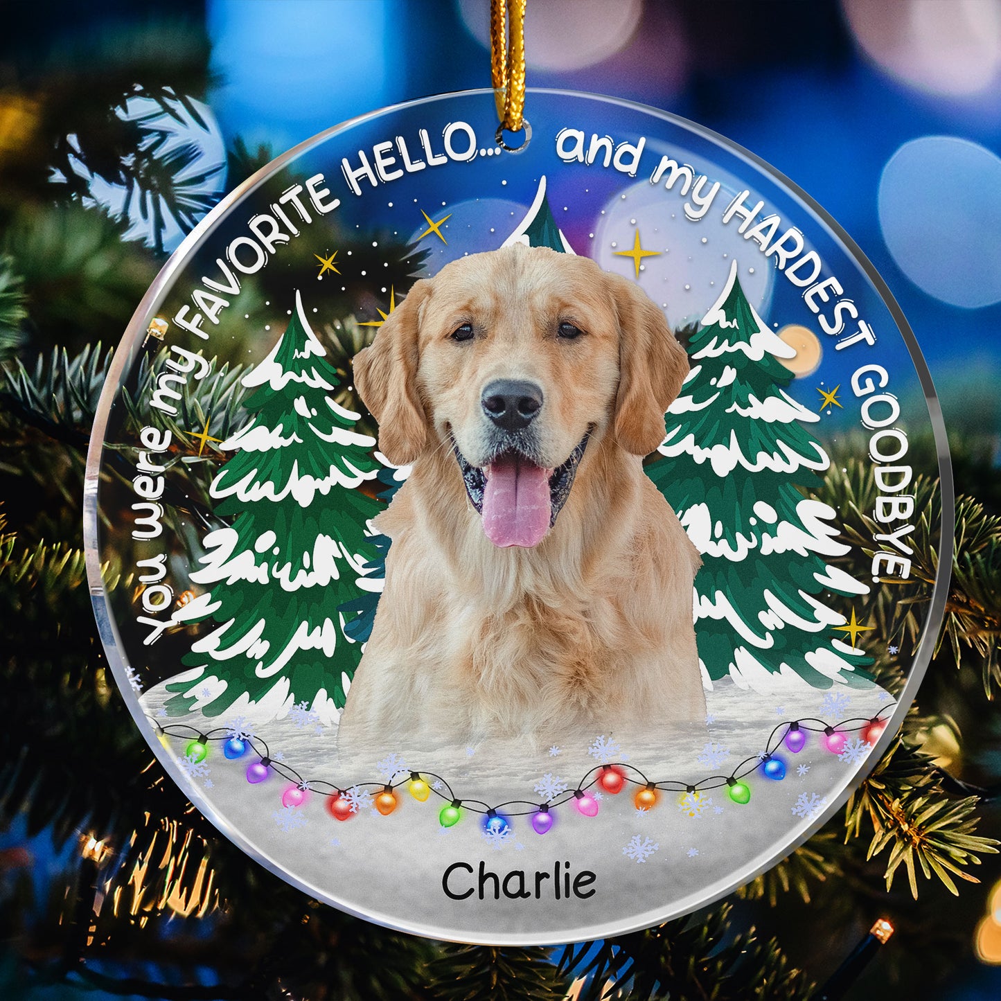 My Favorite Hello & Hardest Goodbye Pet Loss - Personalized Acrylic Photo Ornament