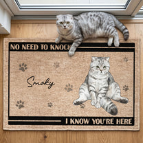 No-Need-To-Knock-Custom-Pet-Portrait-Watercolor-Personalized-Doormat-2