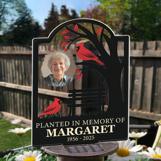 Not A Day Goes By That You Are Not Missed Memory - Personalized Photo Solar Light