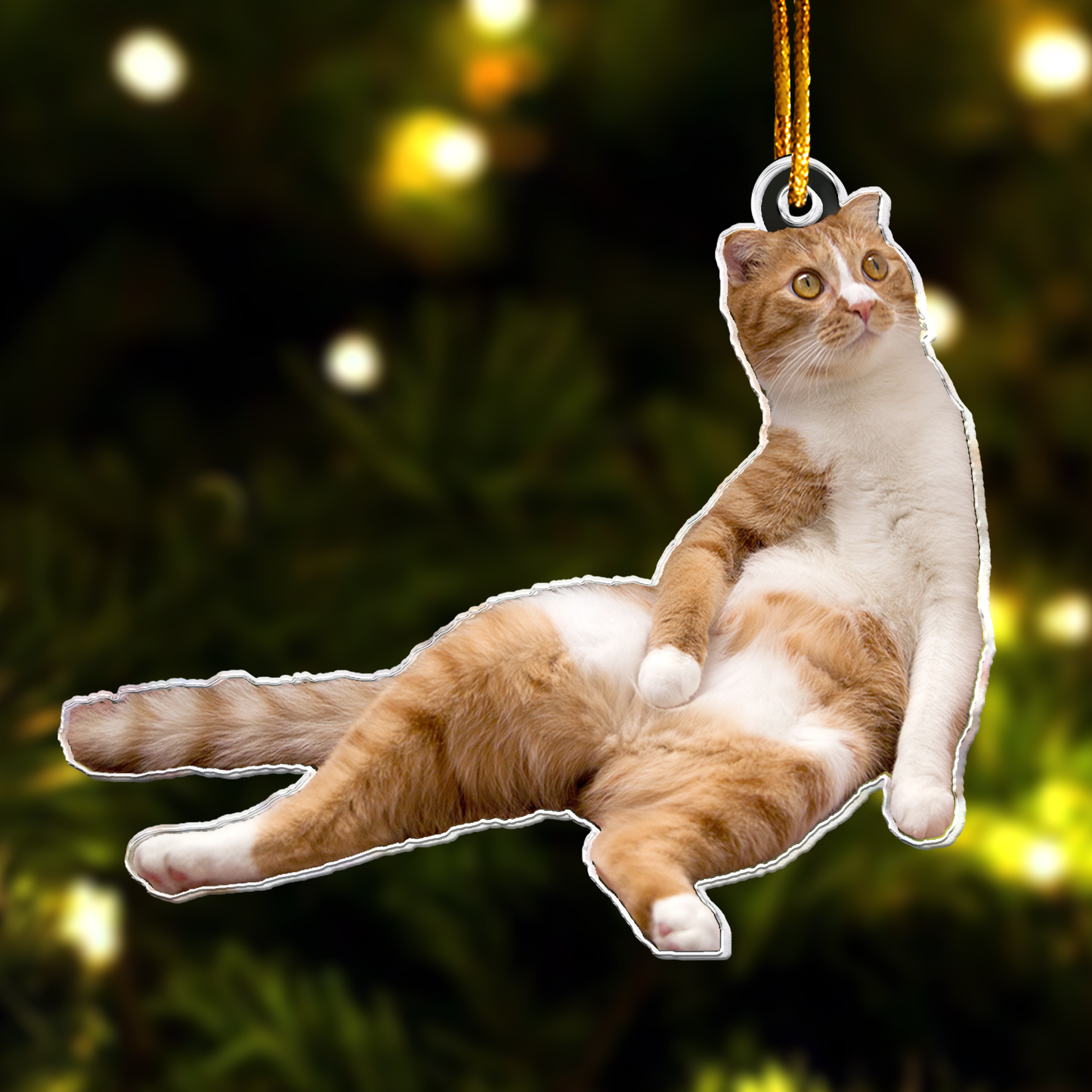 Orange Cat Ornament - Cute Orange Cat - Personalized Acrylic Photo Ornament