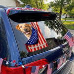 Paws-On-Board-Personalized-Decal-2