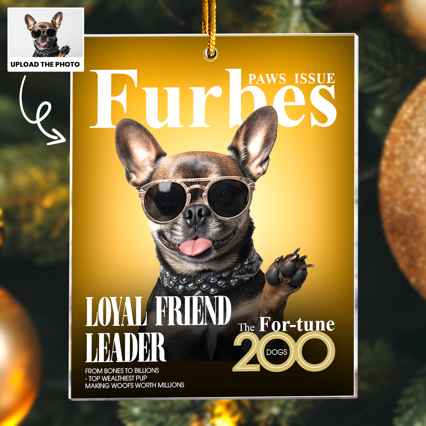 Pet Furbes Magazine - Custom Pet Portrait - Gifts For Dog Lovers, Cat Lovers - Personalized Acrylic Photo Ornament