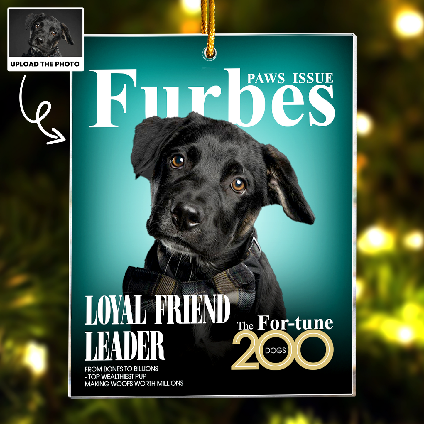 Pet Furbes Magazine - Custom Pet Portrait - Gifts For Dog Lovers, Cat Lovers - Personalized Acrylic Photo Ornament