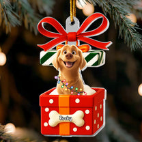 Pet In Present Box - Personalized Acrylic Ornament