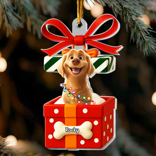 Pet In Present Box - Personalized Acrylic Ornament