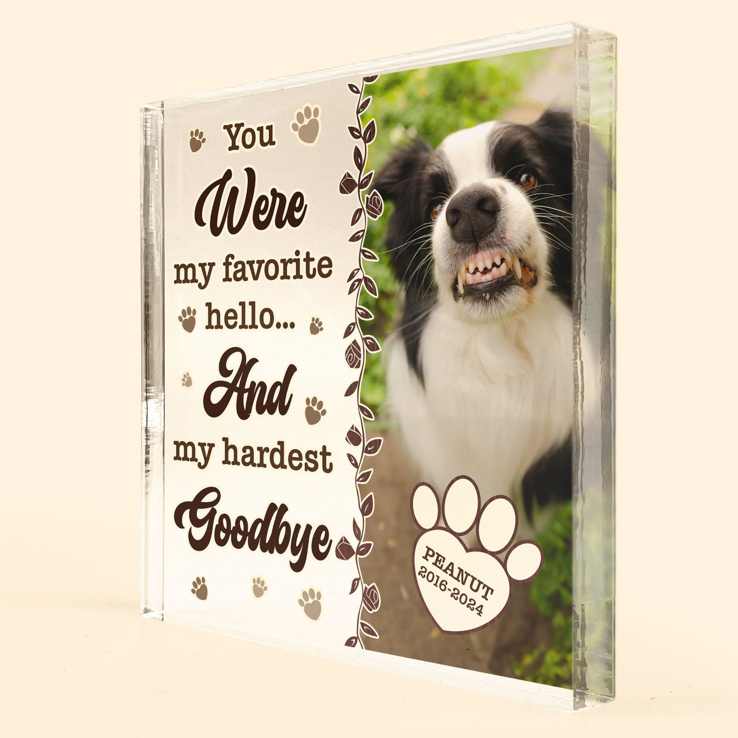 Pet Loss You Were My Favorite Hello - Personalized Acrylic Photo Plaque