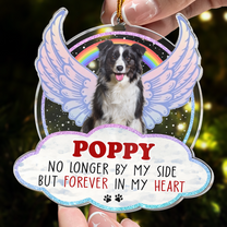 Pet Memorial - Favorite Hello And Hardest Goodbye - Personalized Acrylic Photo Ornament