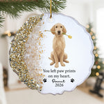 Pet Memorial Remembrance Gift - Personalized Resin Ornament