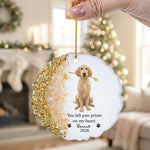 Pet Memorial Remembrance Gift - Personalized Resin Ornament