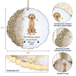 Pet Memorial Remembrance Gift - Personalized Resin Ornament