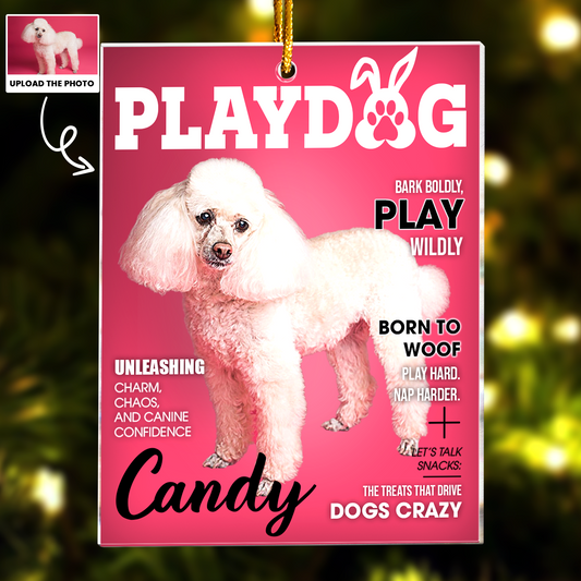 Pet Playdog Playcat Magazine - Custom Pet Portrait - Gifts For Dog Lovers, Cat Lovers - Personalized Acrylic Photo Ornament