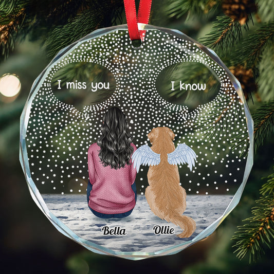 Pet Sympathy - Personalized Glass Ornament