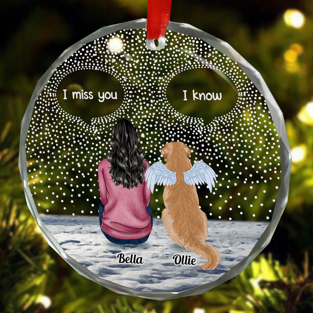 Pet Sympathy - Personalized Glass Ornament