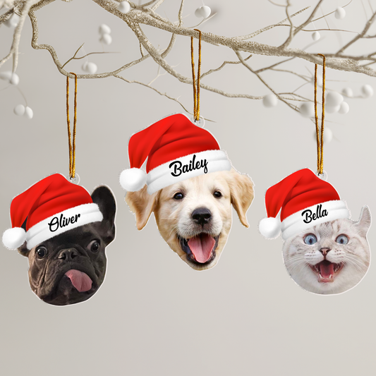 Pet Funny Christmas Face, Personalized Photo Ornament