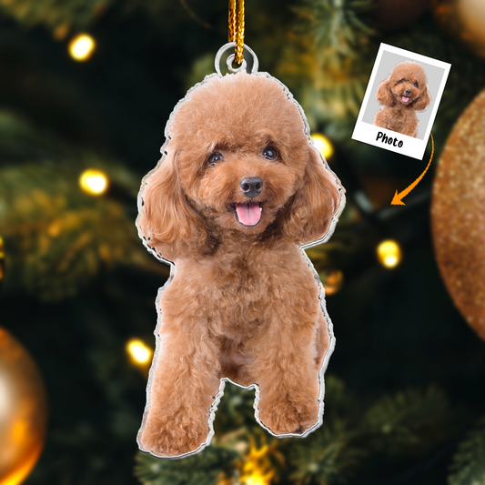 Poodle Christmas Decorations - Poodle Dog Ornament - Personalized Acrylic Photo Ornament