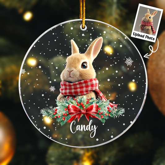 Rabbit Ornaments - Bunny Christmas Ornament - Personalized Acrylic Photo Ornament