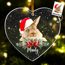 Rabbit Ornaments - Bunny Christmas Ornament - Personalized Acrylic Photo Ornament