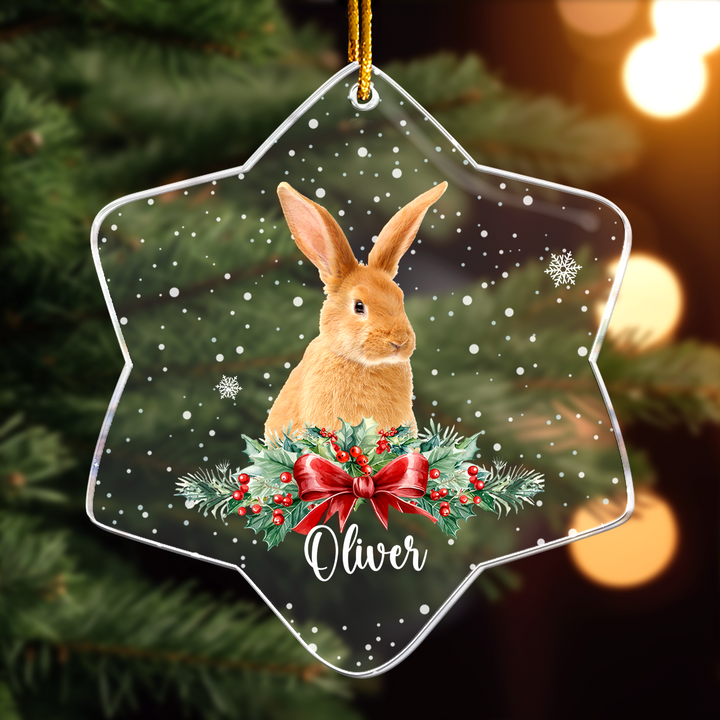 Rabbit Ornaments - Bunny Christmas Ornament - Personalized Acrylic Pho ...