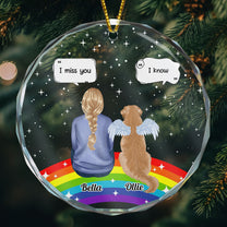 Rainbow Pet Memorial. Pet Loss - Personalized Glass Ornament