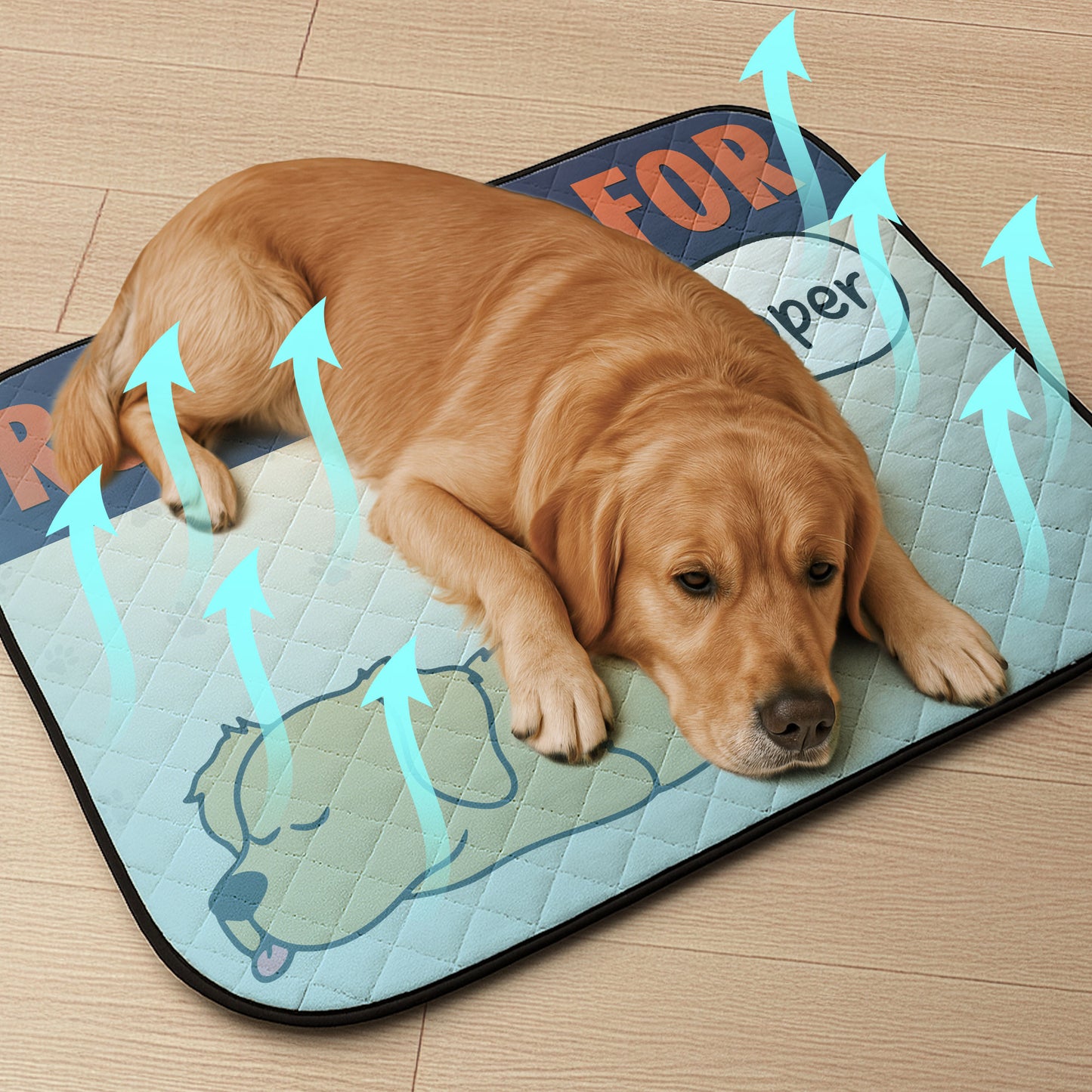 Reserved For ... - Personalized Dog Cooling Mat