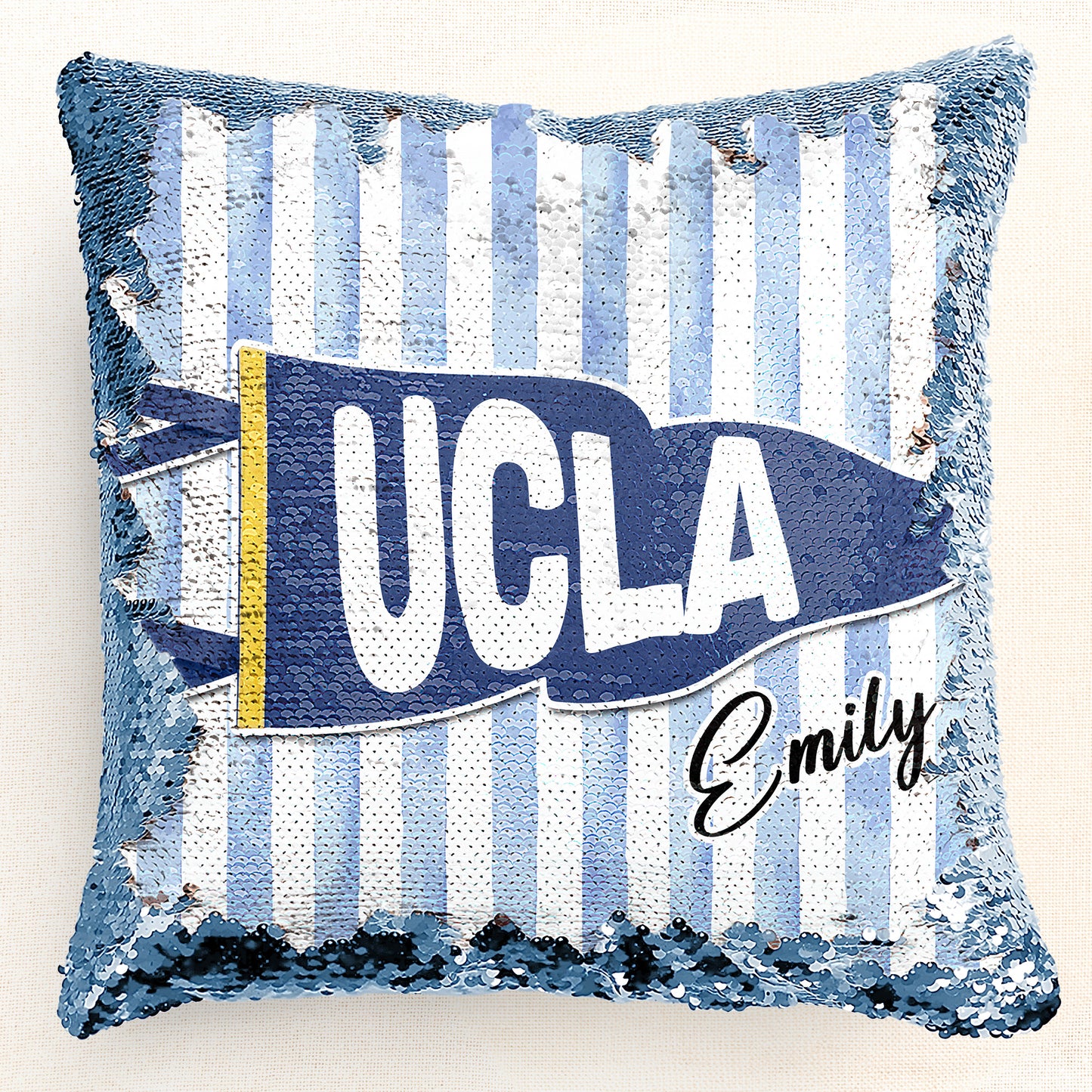 School-Pennant-Flag-Custom-Pillow-3