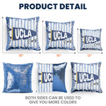 School-Pennant-Flag-Custom-Pillow-6
