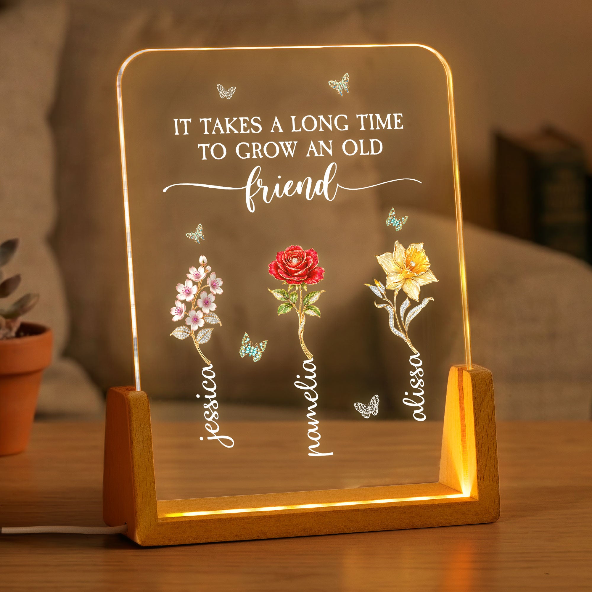 Sisters-Are-Different-Flowers-From-The-Same-Garden-Personalized-Night-Light-1