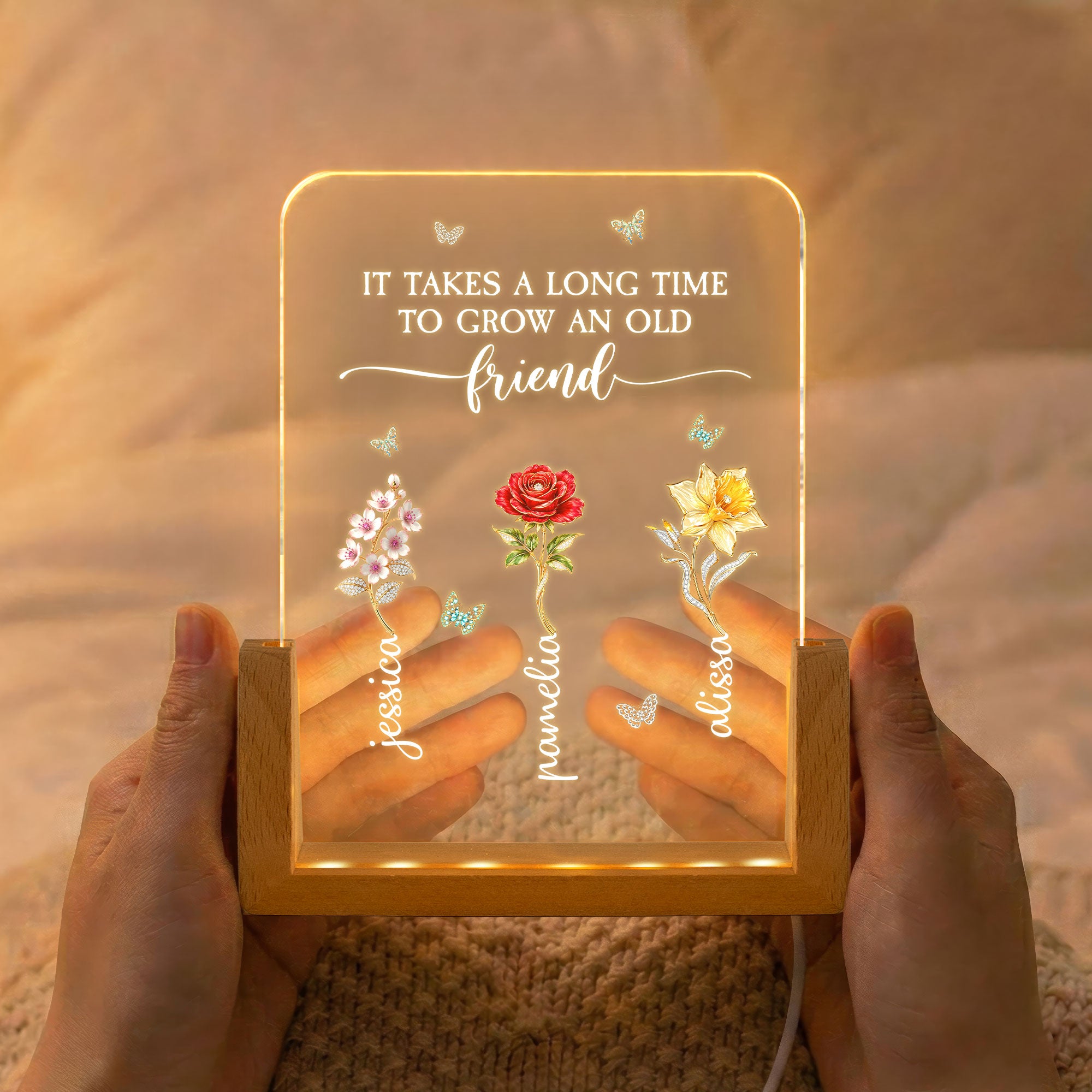 Sisters-Are-Different-Flowers-From-The-Same-Garden-Personalized-Night-Light-2