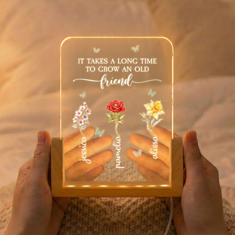 Sisters-Are-Different-Flowers-From-The-Same-Garden-Personalized-Night-Light-2