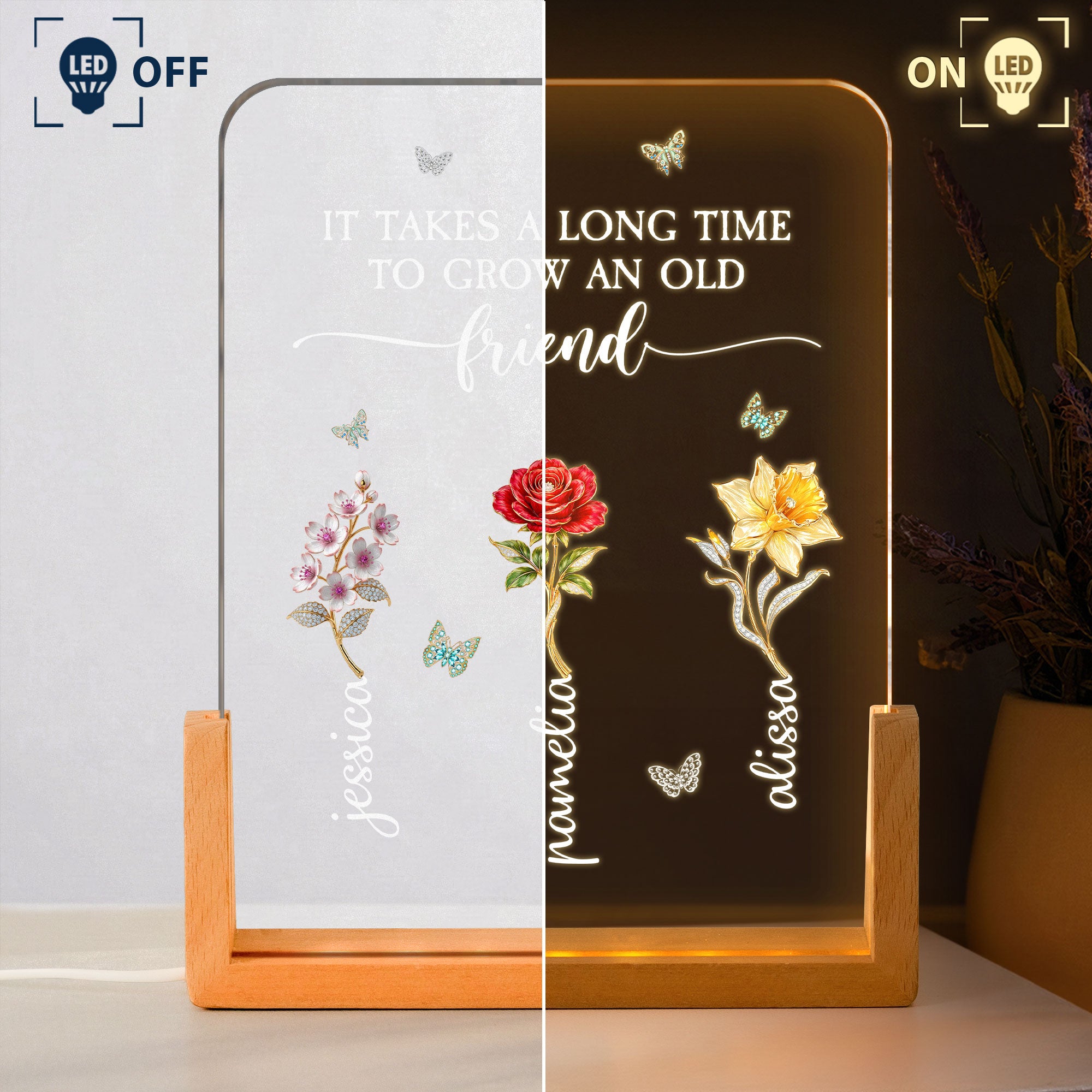 Sisters-Are-Different-Flowers-From-The-Same-Garden-Personalized-Night-Light-3