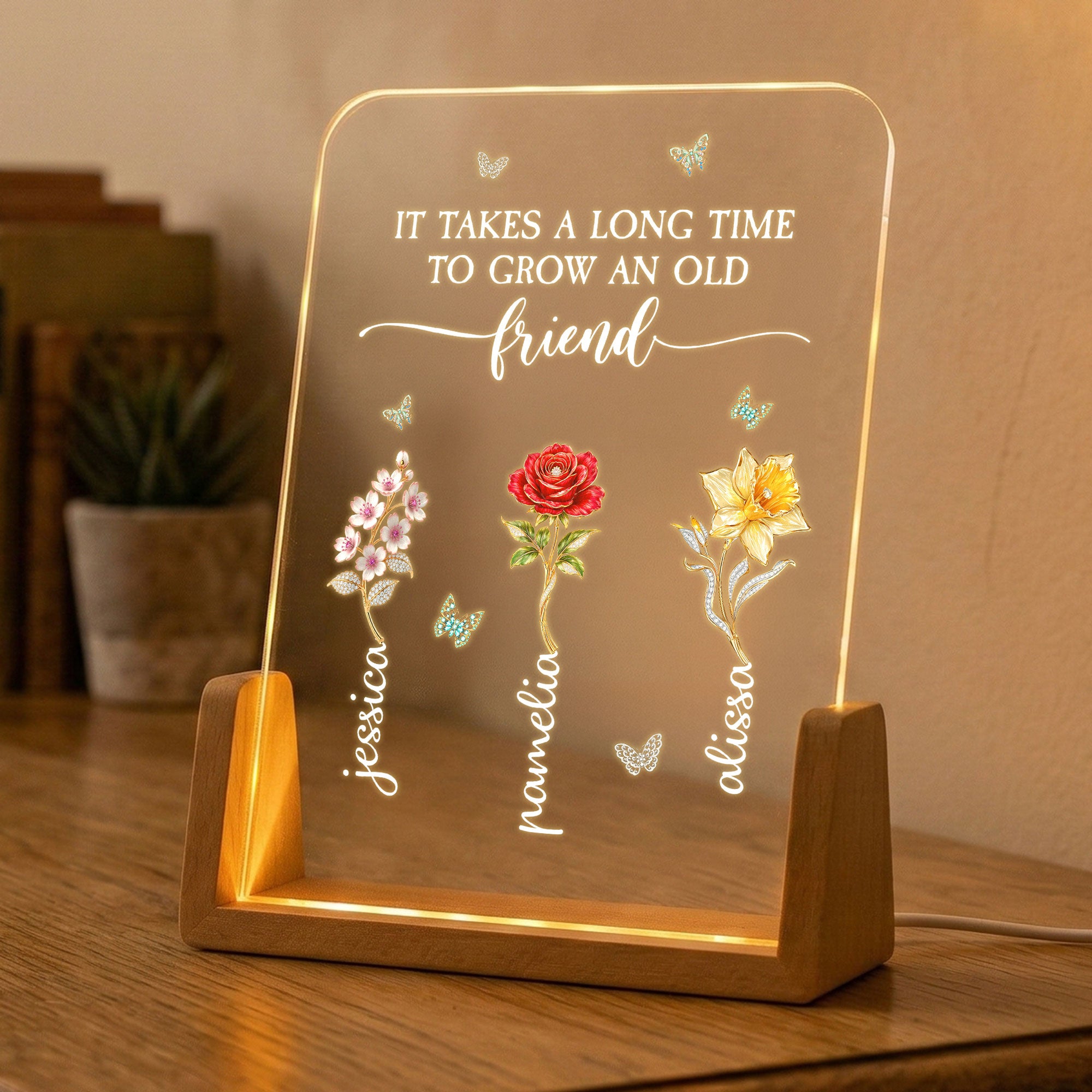 Sisters-Are-Different-Flowers-From-The-Same-Garden-Personalized-Night-Light-4