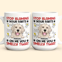 Stop Blaming Your Farts On Me You Smelly Twat Dog Funny - Personalized Mug