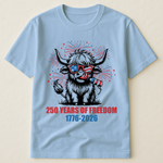 TS_light_blue_4e3a52bb-def7-43e1-9009-25d602d8fe61