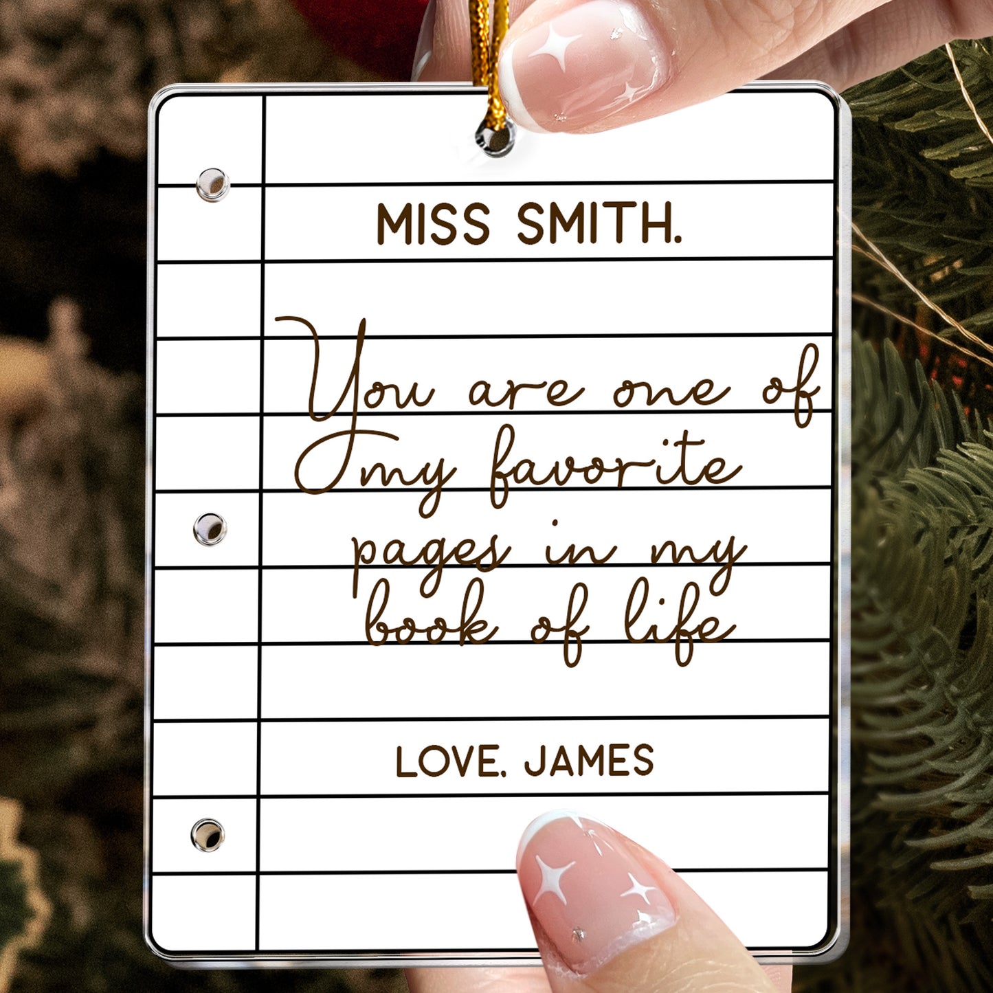 Teacher Ornament - Favorite Pages In My Book Of Life - Thank You Gift - Personalized Acrylic Ornament