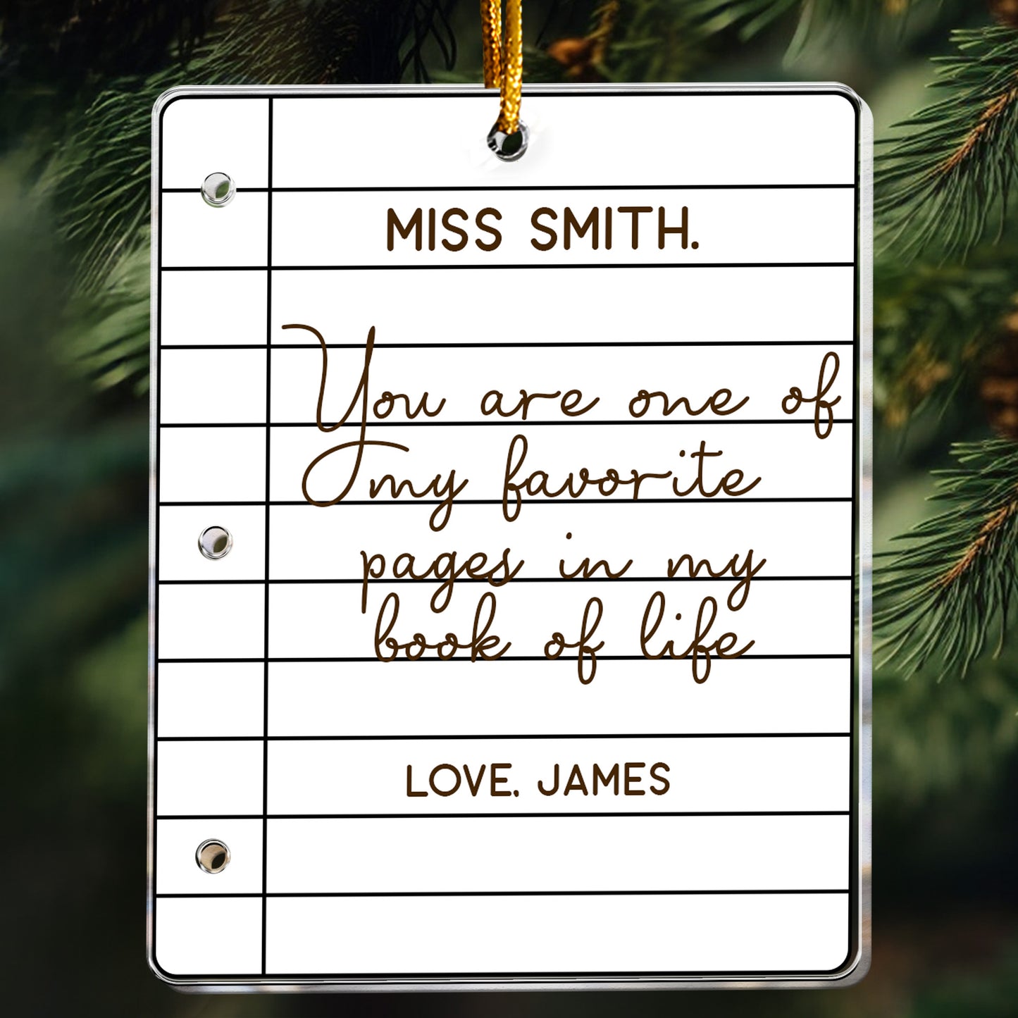 Teacher Ornament - Favorite Pages In My Book Of Life - Thank You Gift - Personalized Acrylic Ornament