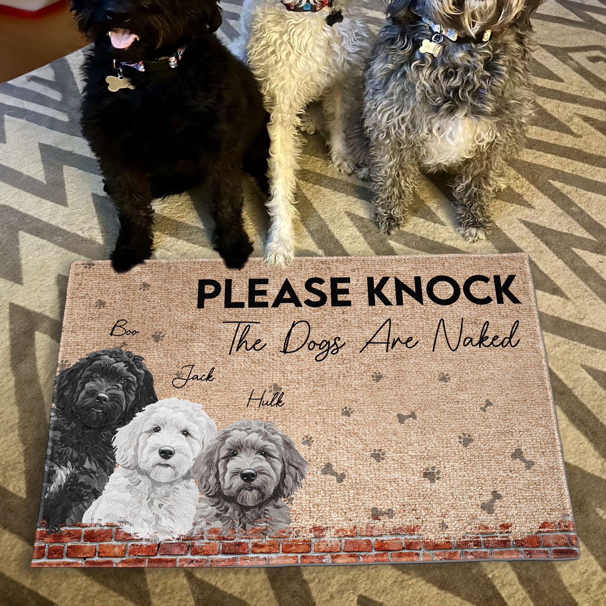 The Dogs Are Naked - Personalized Doormat