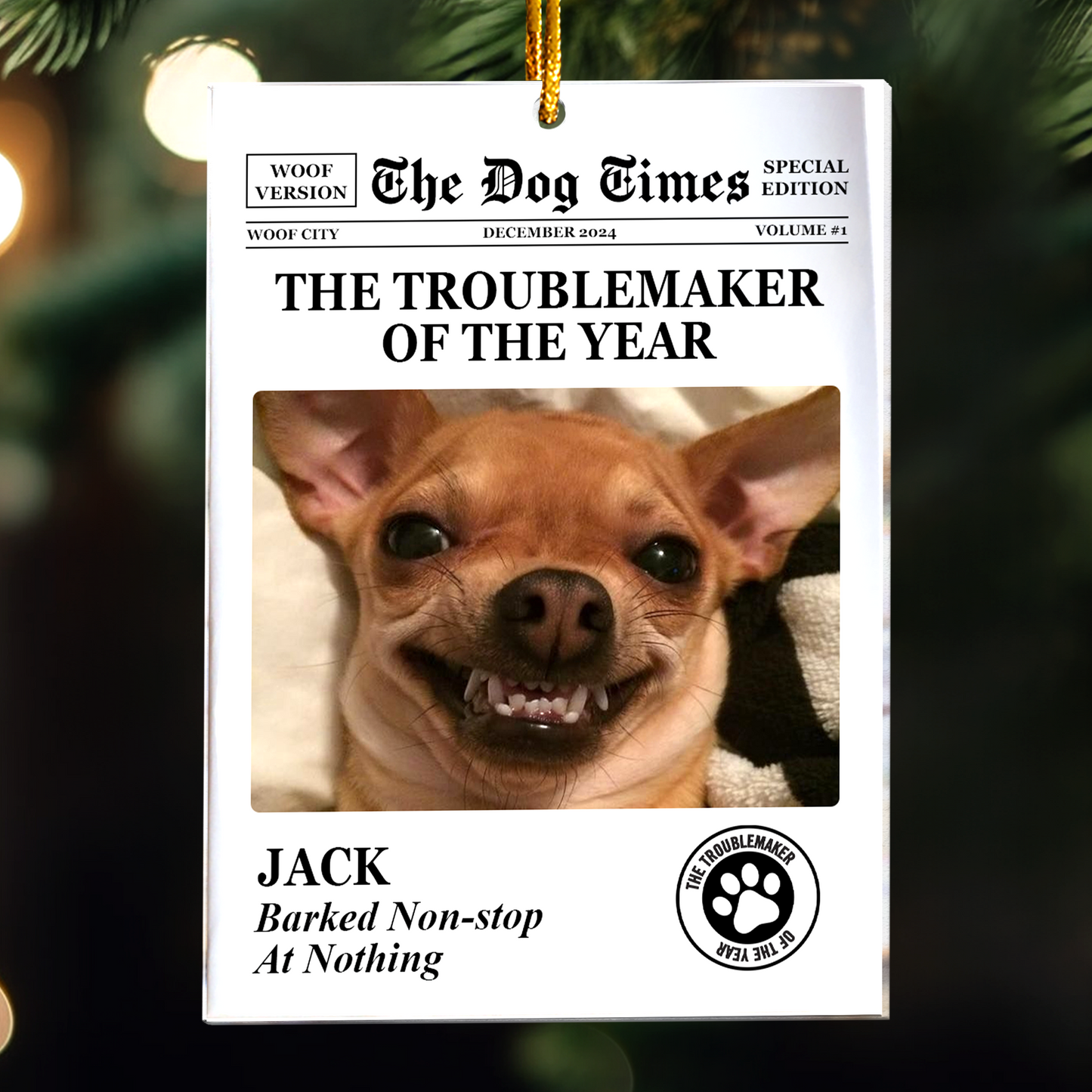 The Meow Times, The Dog Times - Troublemaker Of The Year - Personalized Acrylic Photo Ornament