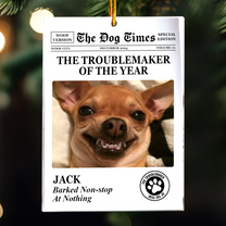 The Meow Times, The Dog Times - Troublemaker Of The Year - Personalized Acrylic Photo Ornament