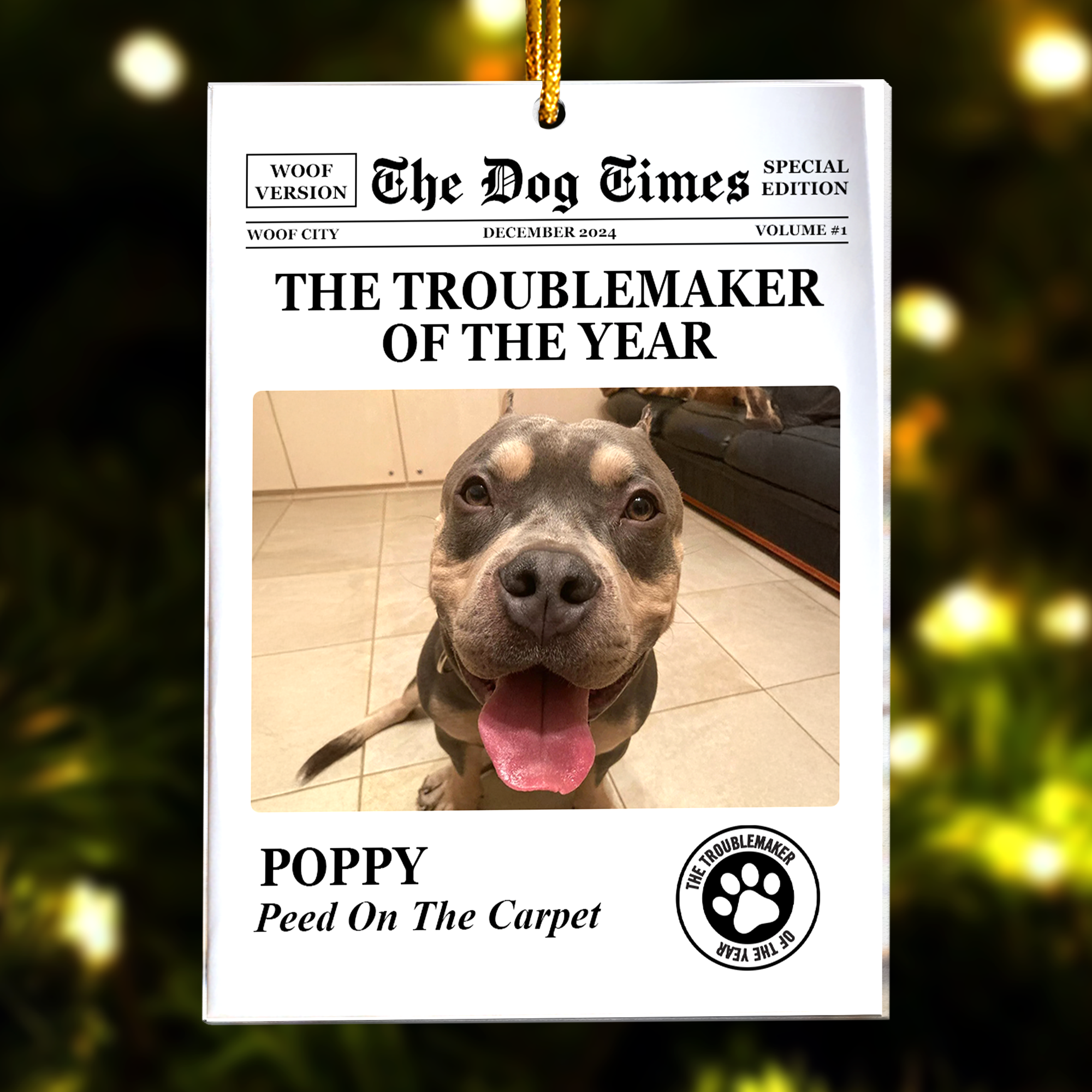 The Meow Times, The Dog Times - Troublemaker Of The Year - Personalized Acrylic Photo Ornament